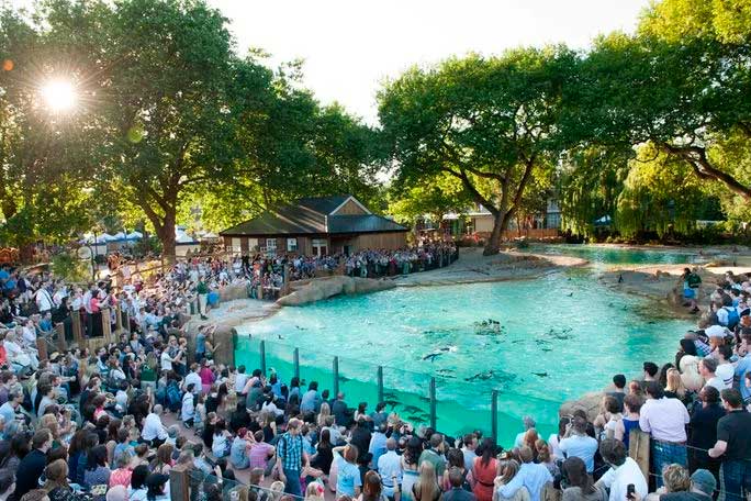 London Zoo i Regent's Park