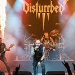 Disturbed