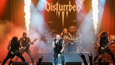 Disturbed