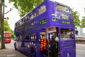 Harry Potter busstur