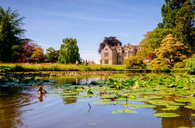 Kew Gardens