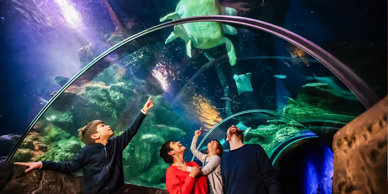London Sea Life